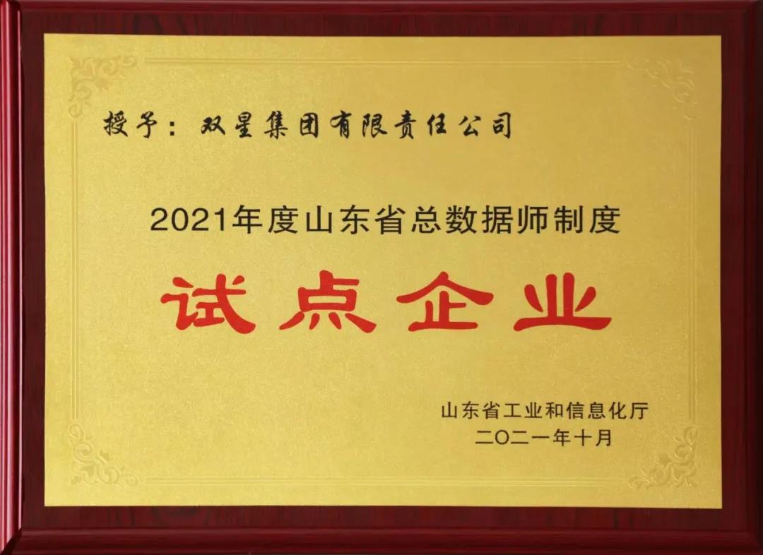 試點企業