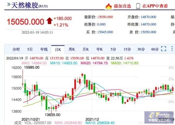 橡膠停割即將開啟，