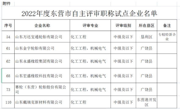 1670808972945215.png 職稱自主評審,5家輪胎企業試點!